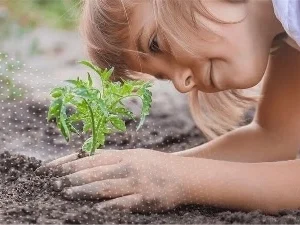 Image Trauma and the Learning Brain